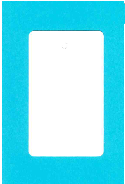 LARGE BLANK WHITE UNSTRUNG 1 PART TAG