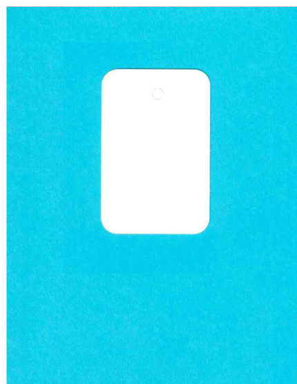 SMALL WHITE BLANK UNSTRUNG 1 PART TAG